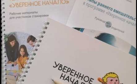 Ранняя помощь детям с ТМНР: итоги стажировки специалистов «Содействия»