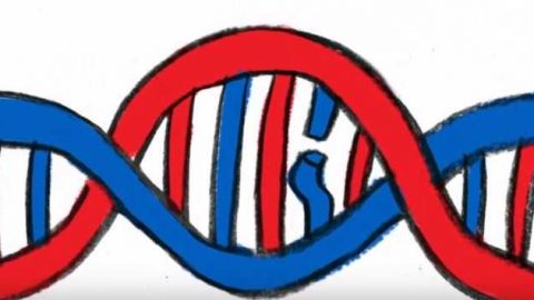 Благотворительный фонд Поддержки людей с синдромом Вильямса выпустил анимационный ролик, рассказывающий о том, что такое генетические заболевания, какие они бывают и как возникают. Второй ролик посвящен диагностике генетических заболеваний. Мультфильмы выложены на You-Tube канале «Редкие люди». Ролик создан при поддержке Благотворительный фонд "Абсолют-Помощь"